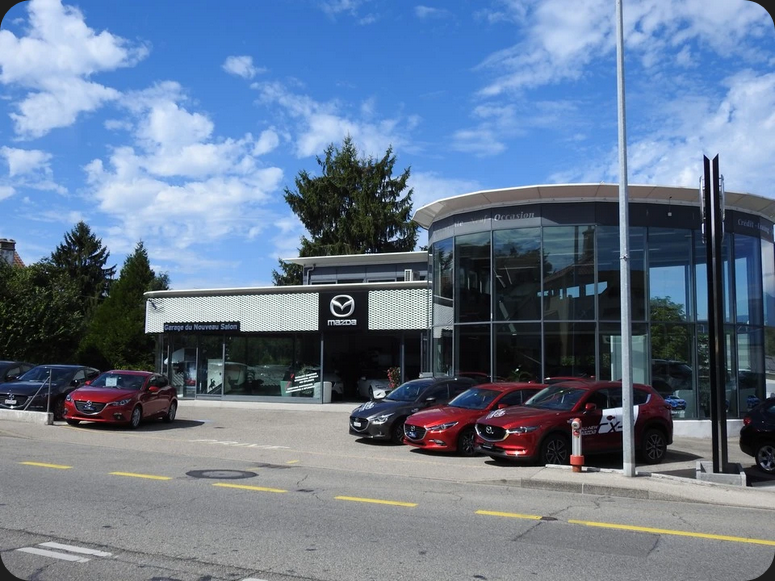 Screenshot 2026-04-02 at 10-02-46 Garage du Nouveau Salon SA – Garage à Le Grand-Saconnex local.ch