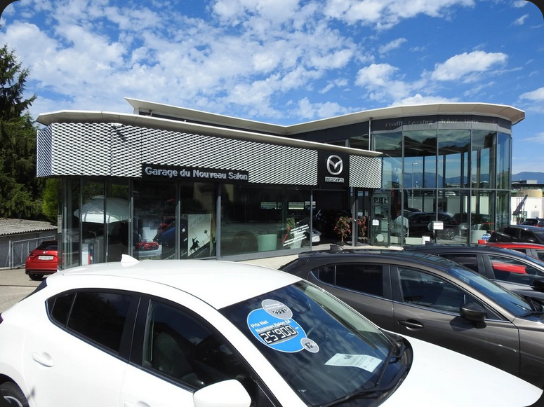 Screenshot 2026-04-02 at 10-03-23 Garage du Nouveau Salon SA – Garage à Le Grand-Saconnex local.ch