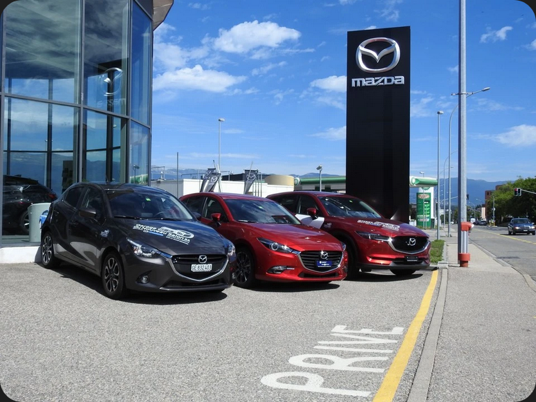 Screenshot 2026-04-02 at 10-03-33 Garage du Nouveau Salon SA – Garage à Le Grand-Saconnex local.ch